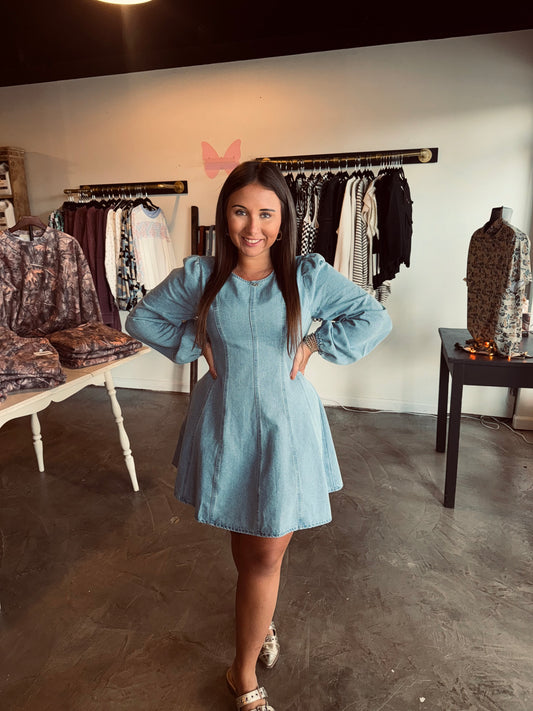 Denim Seam Mini Dress